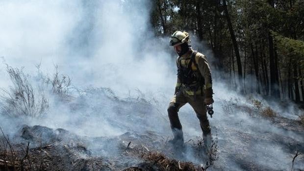 Un día con una brigada de extinción: «Matar al monstruo es nuestra prioridad»