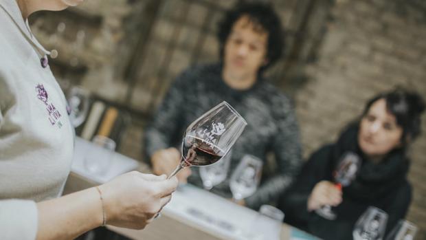 Vinotecas con cursos en Sevilla: para aprenderlo todo sobre el vino