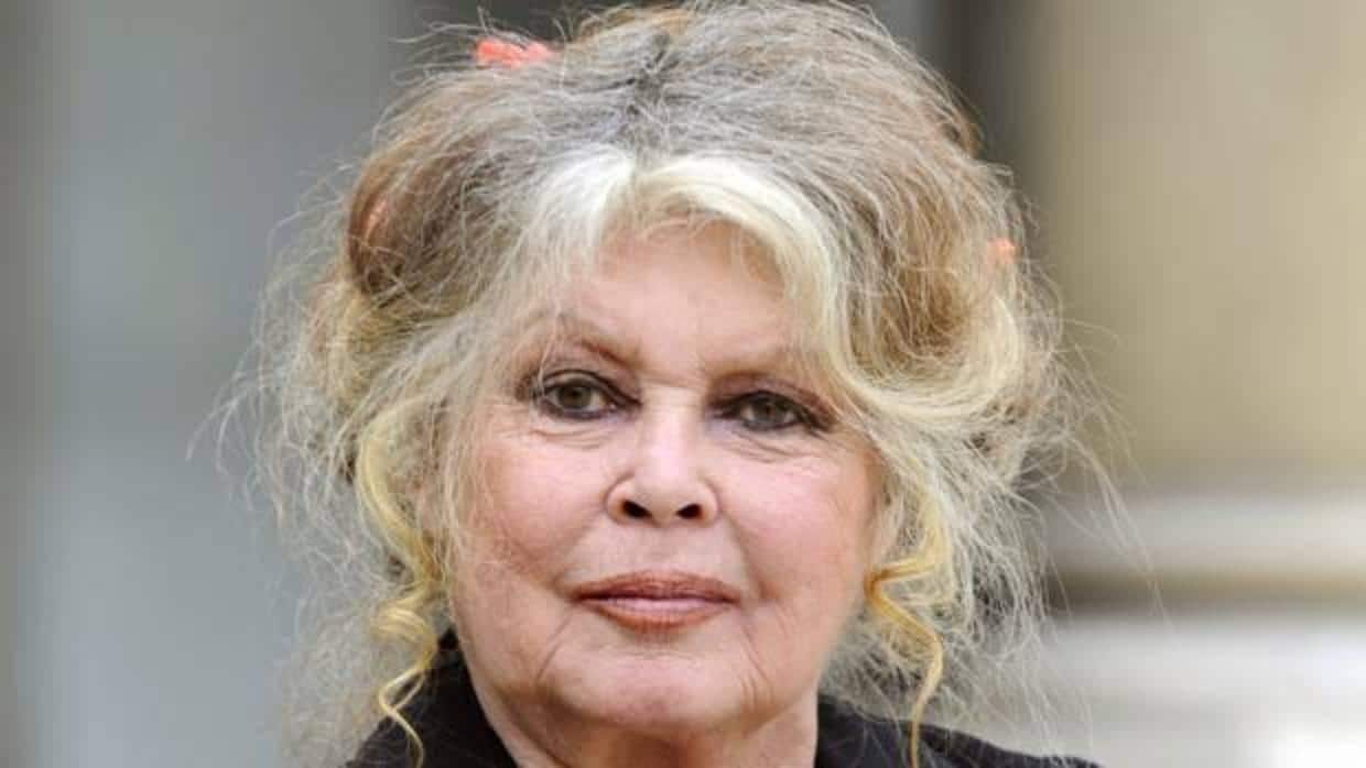 Brigitte Bardot: «Mi paso por la vida no habrá sido en vano. Di mi juventud y mi belleza a los hombres»