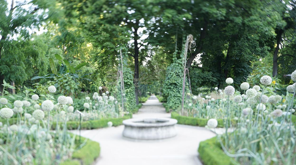 Jardín Botánico