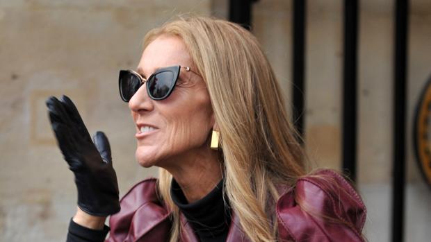 Céline Dion, amenazada por una deuda millonaria