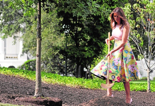 Melania Trump cuando plantó un esquejo de roble