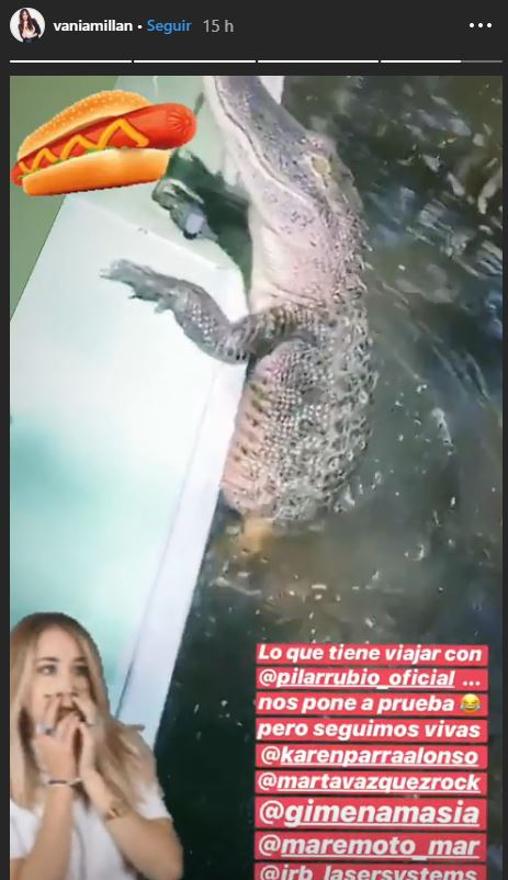 Un cocodrilo intentando subirle a la barca del grupo de vacaciones de Pilar Rubio