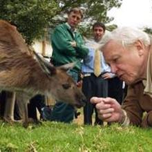 David Attenborough