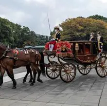 Fumihito llegando al Palacio Imperial