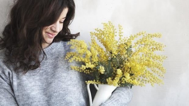 Flores mimosas: todo lo que debes saber de las flores que celebran el Día de la Mujer