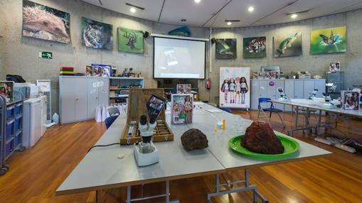 Zona de experimentos en el Museo Nacional de Ciencias Naturales