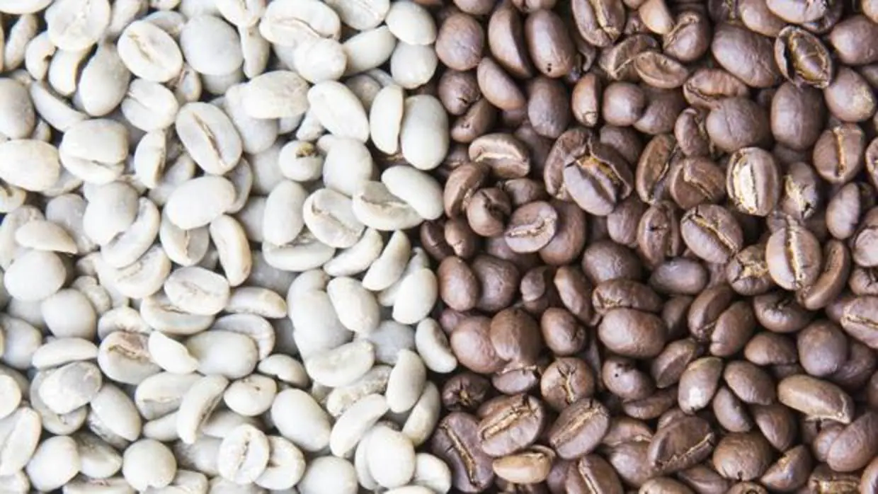 Propiedades del café verde como complemento en la pérdida de peso