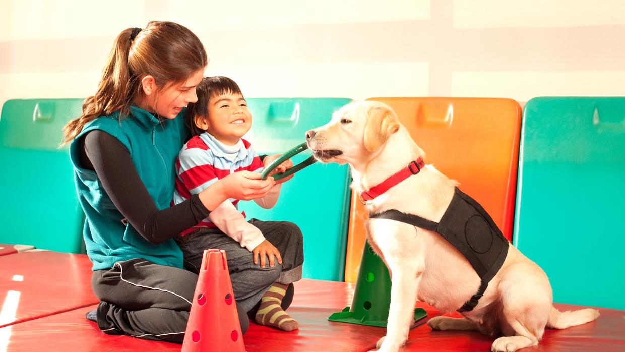 Perros medicina, niños felices