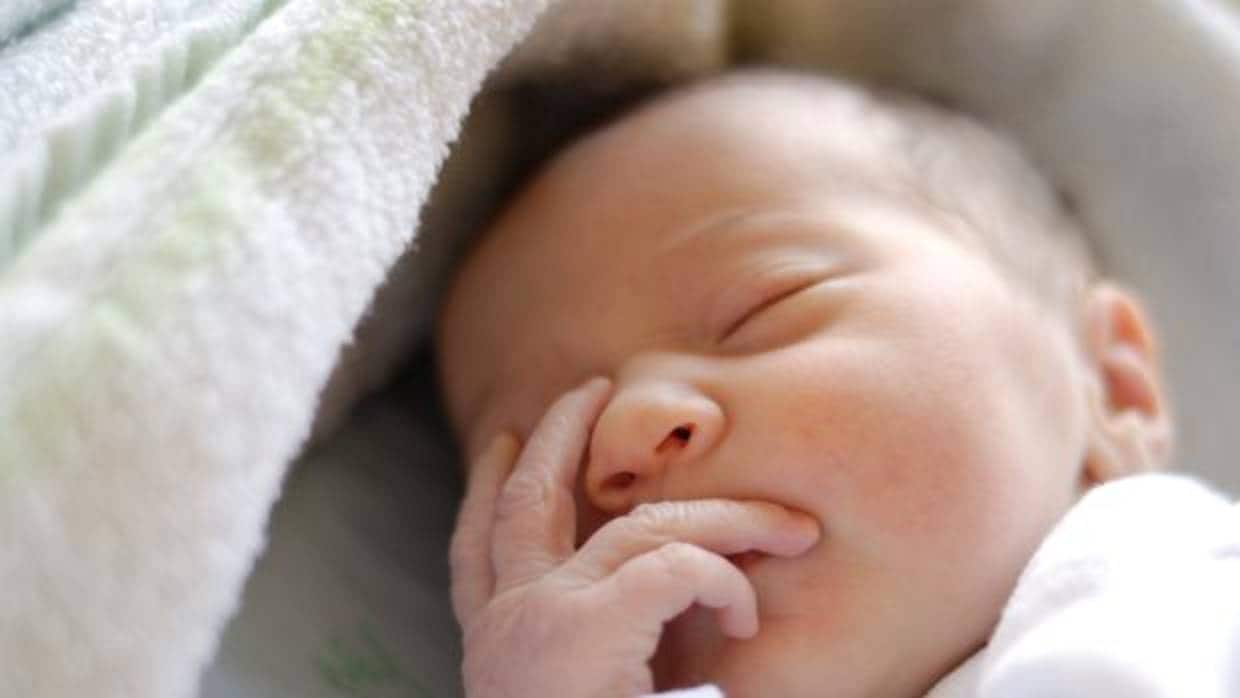 El 50% de los recién nacidos en Europa podrían no alcanzar su potencial cognitivo por déficit de yodo
