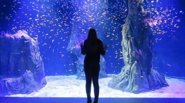 Atlantis Aquarium, un novedoso acuario interactivo para toda la familia