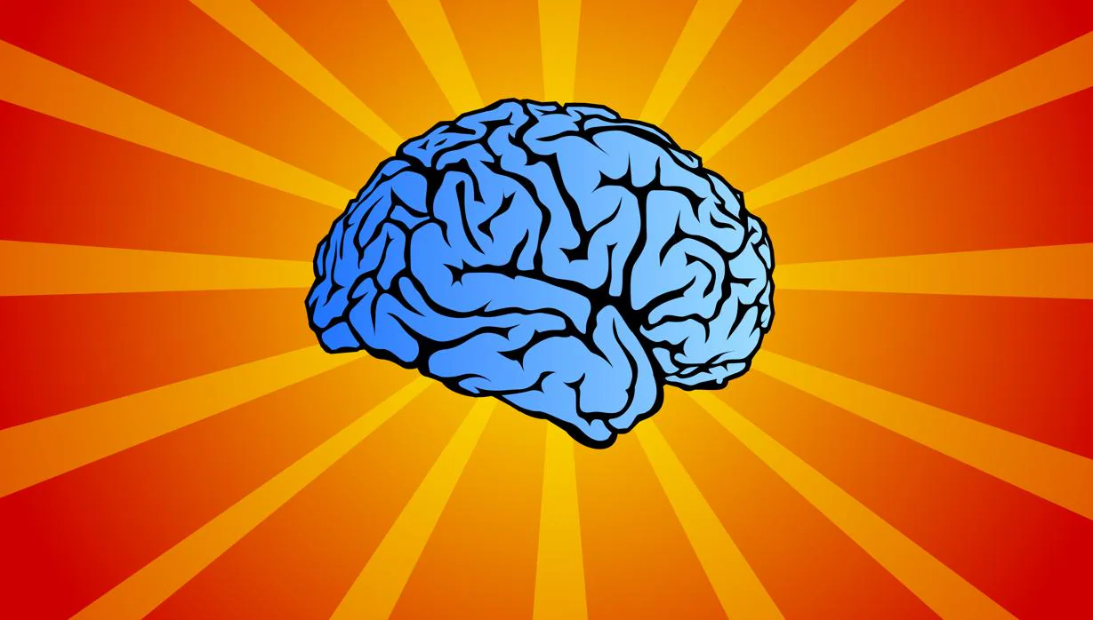 Una neuropsicóloga dice que es más importante el cociente socioemocional que el intelectual