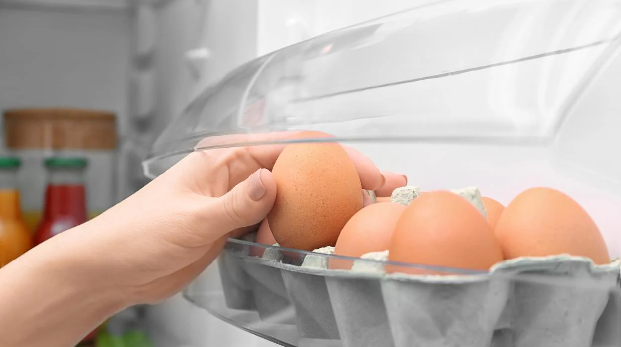 ¿Por qué metes los huevos en la nevera si en el súper están fuera?