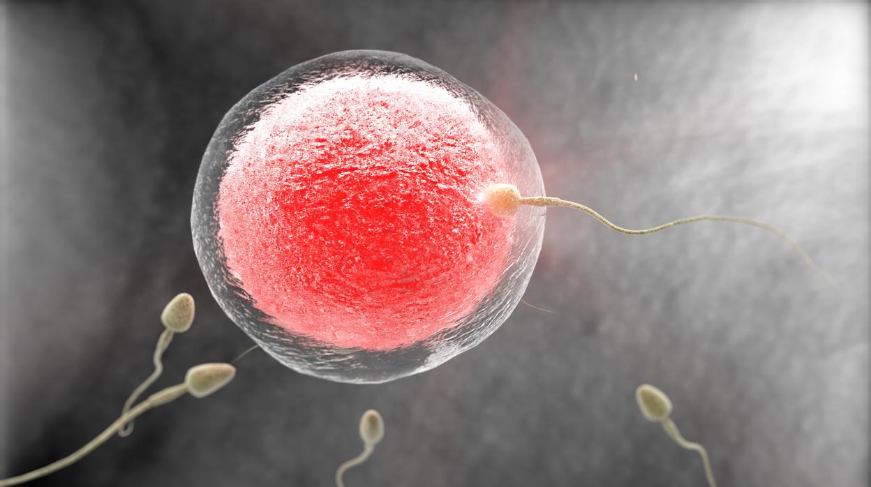 La primavera, la fertilidad altera. Y la razón es científica