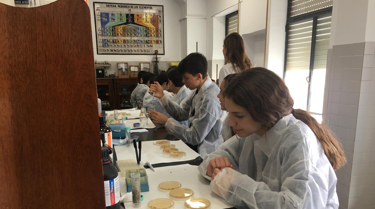 Los alumnos han participado en varias sesiones prácticas en el laboratorio