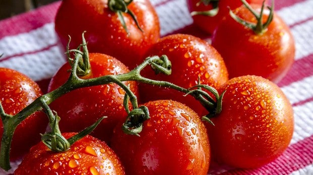 ¿Pueden algunos alimentos protegernos del sol?