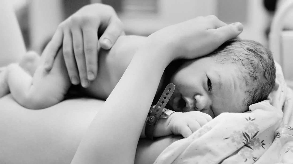 Los científicos refuerzan la idea de que las madres y los bebés deben mantener contacto físico