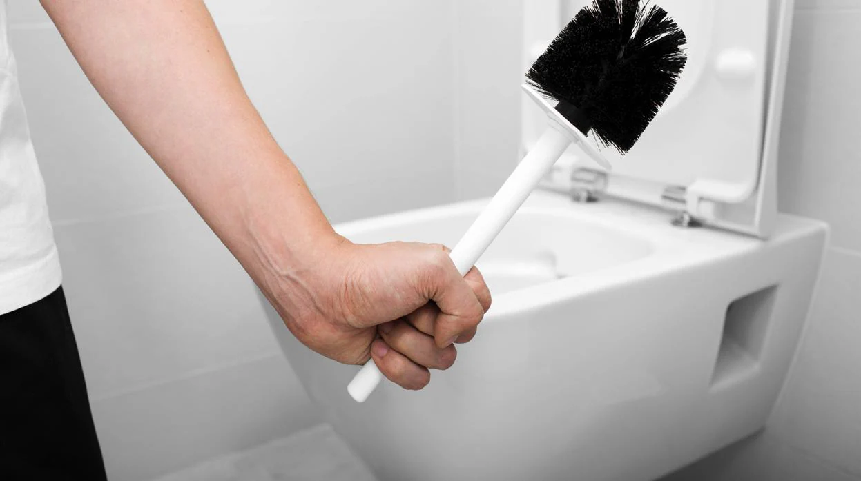 Cepillo Limpiar Wc Taza De Baño Escobilla Sanitario Inodoro