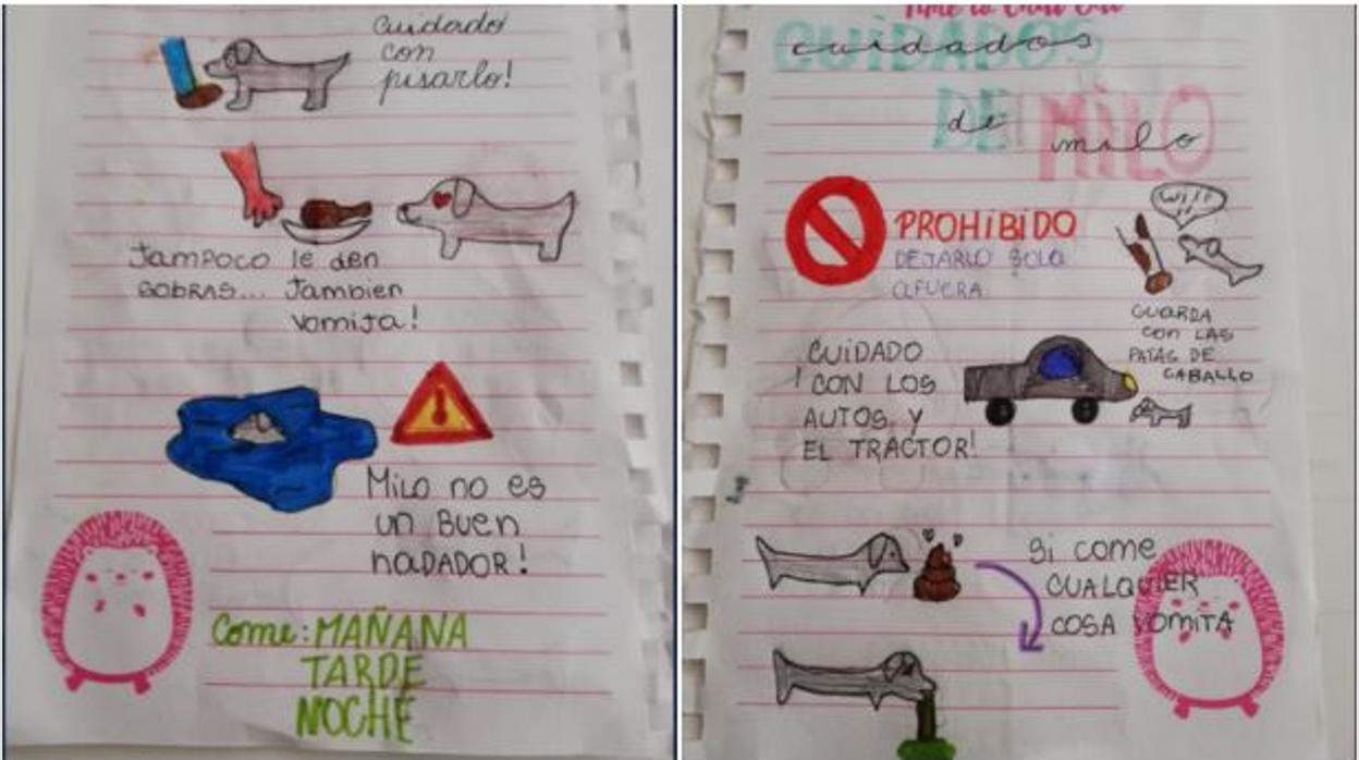 El divertido manual de instrucciones que una niña deja a su tía para que cuide de su perro en vacaciones