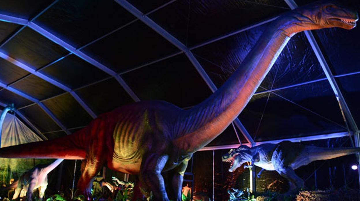 Exposición Dinosaurios XXL para toda la familia