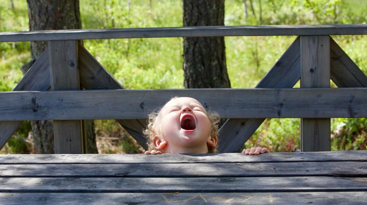 El temperamento infantil predice la personalidad más de 20 años después