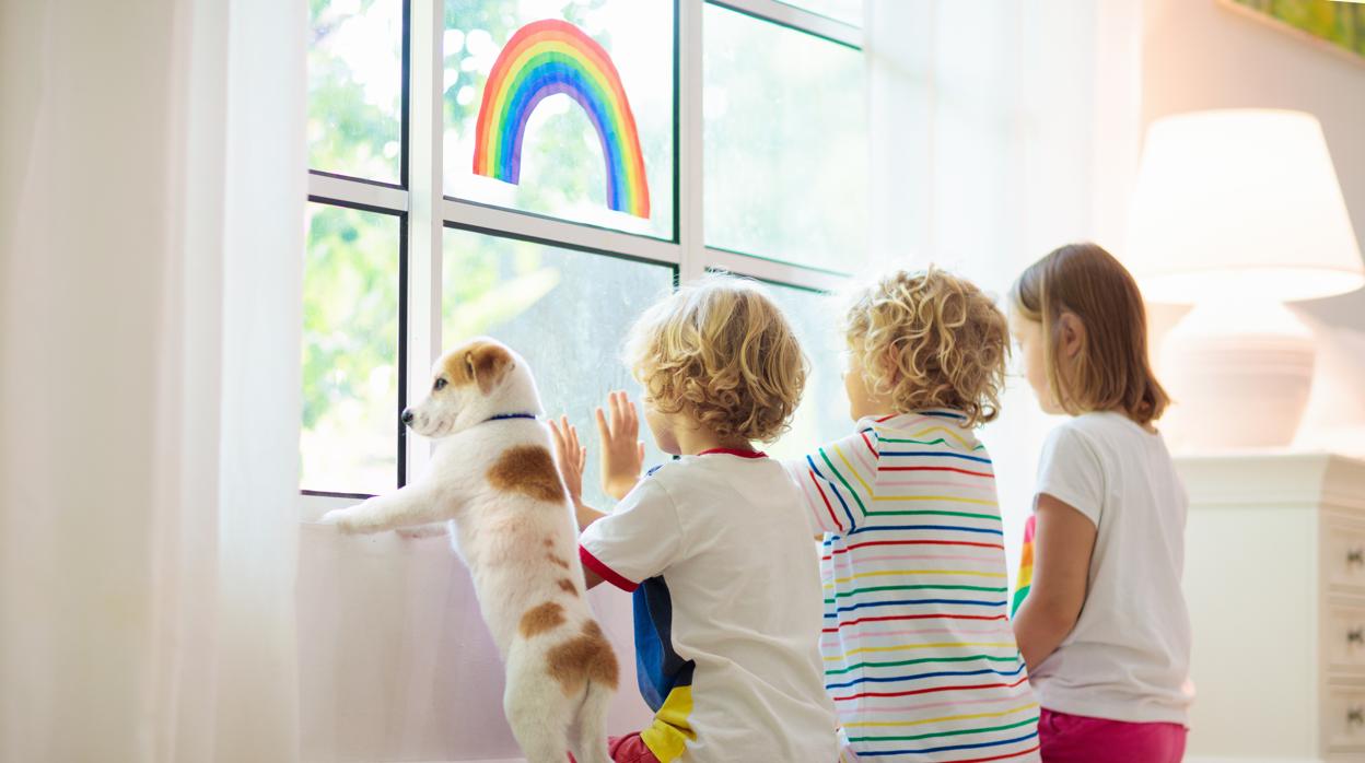 «Indiscutiblemente los niños han resultado mucho peor tratados que los canes»