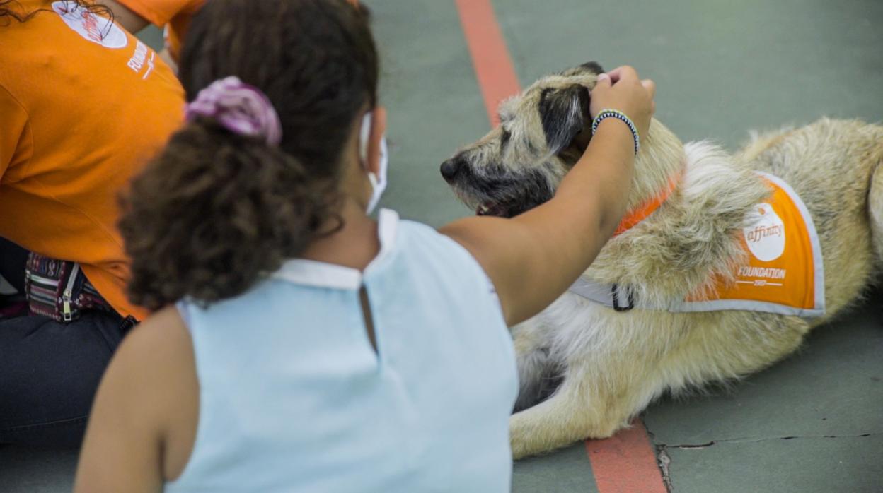 Así ayudan los perros a los niños tutelados para superar los efectos negativos del confinamiento