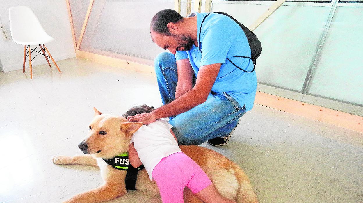 cuanto cuesta un perro de apoyo emocional adiestrado