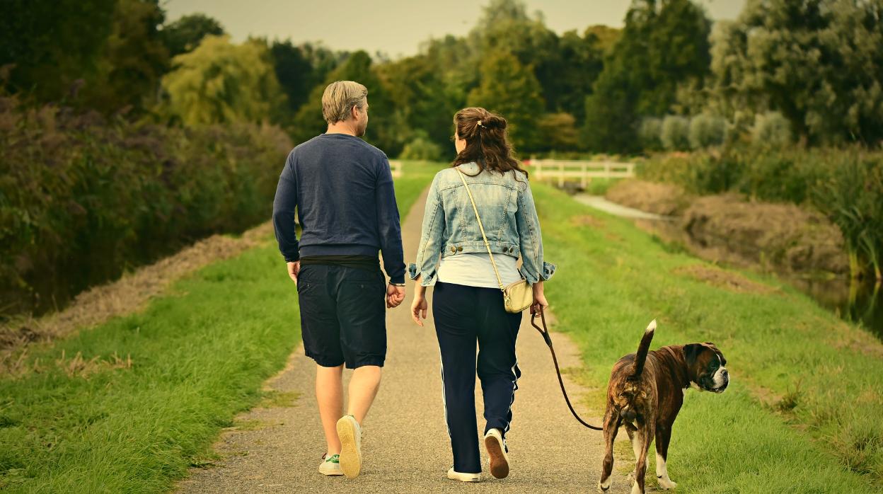 Una pareja acuerda la custodia compartida de su perro en su convenio de divorcio