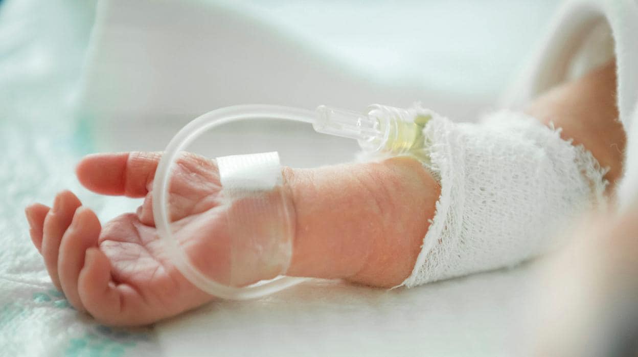 Un neonato, nacido prematuramente, recibe alimentación intravenosa en el interior de una incubadora en la unidad de cuidados intensivos