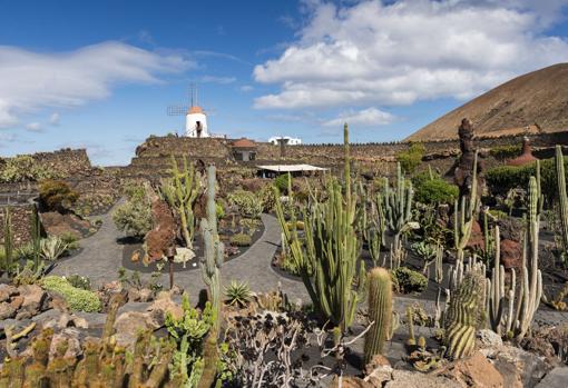 Los mejores jardines de invierno para visitar en familia