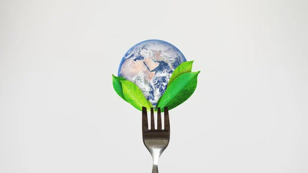 ¿Qué es una alimentación sostenible?