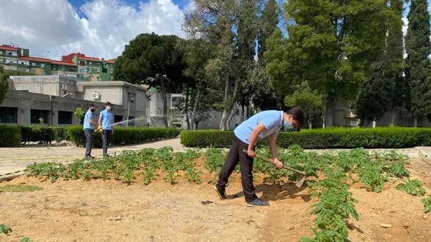 Huerto solidario de los alumnos de 4º de ESO de Altair