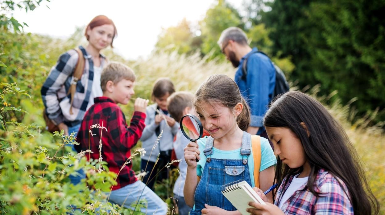 ¿Son las aulas al aire libre el futuro de la educación?