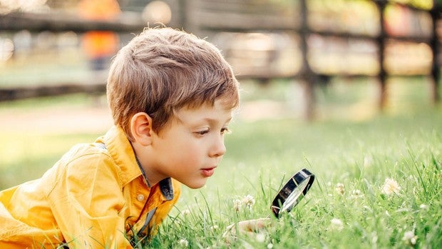 Vacaciones de verano, actividades para no dejar de aprender sin estudiar