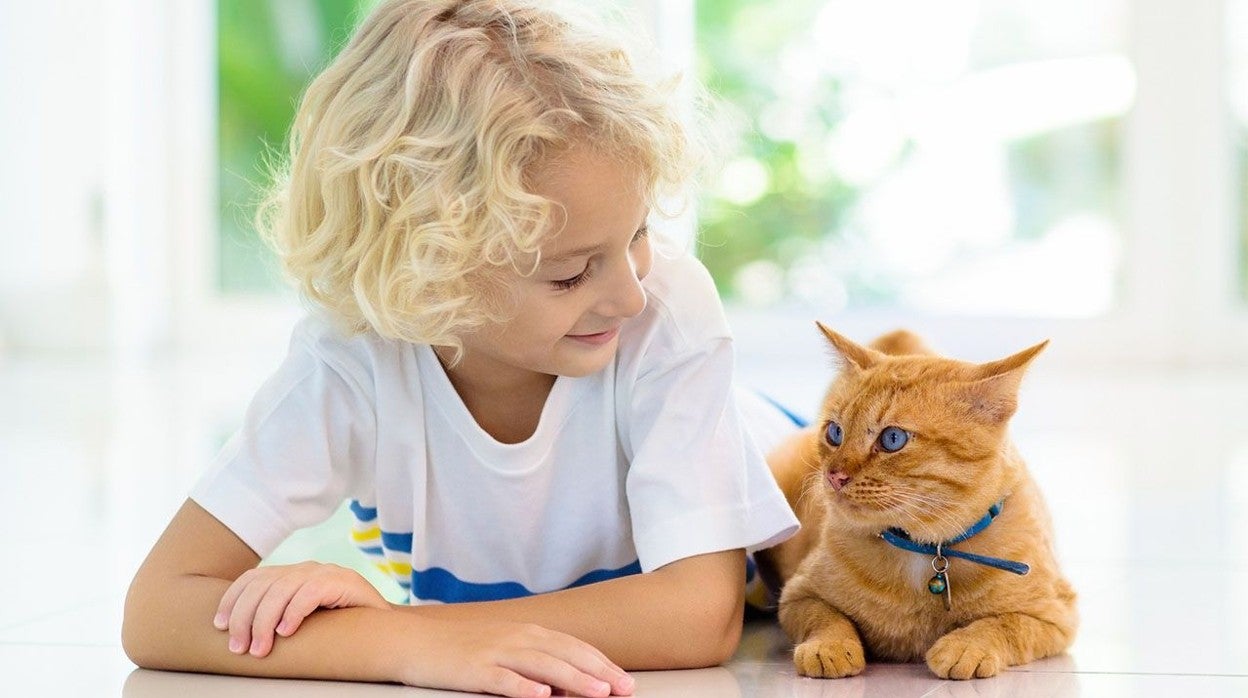 Involucrar a los niños en el cuidado de la mascota los hace más responsables y emocionalmente sanos