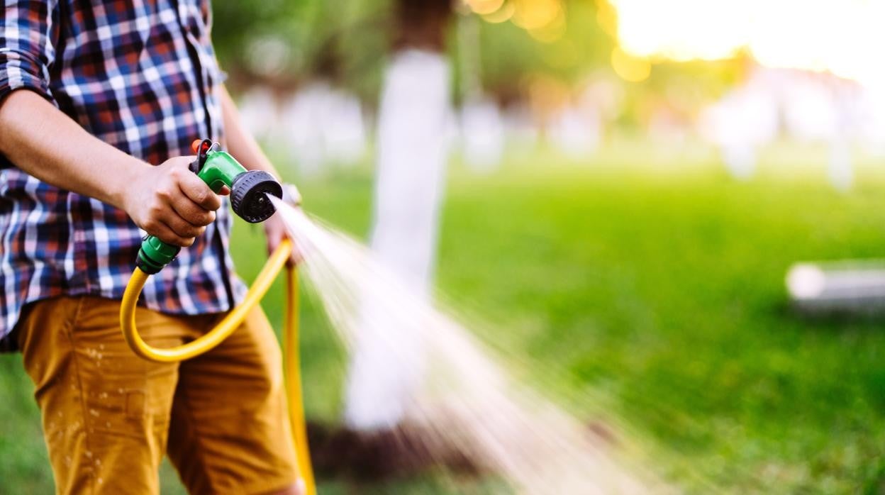 Trucos para ahorrar el máximo de agua en tu jardín