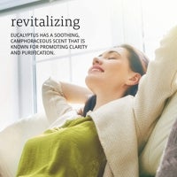 Imagen - Aceite esencial de Eucalipto