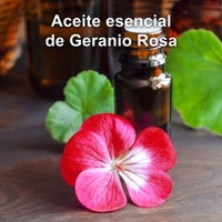 Imagen - Aceite para difusor de Geranio Rosa