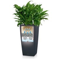 Imagen - Macetero con autorriego alto Lechuza