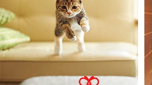 Los mejores juguetes para gatos para jugar durante horas