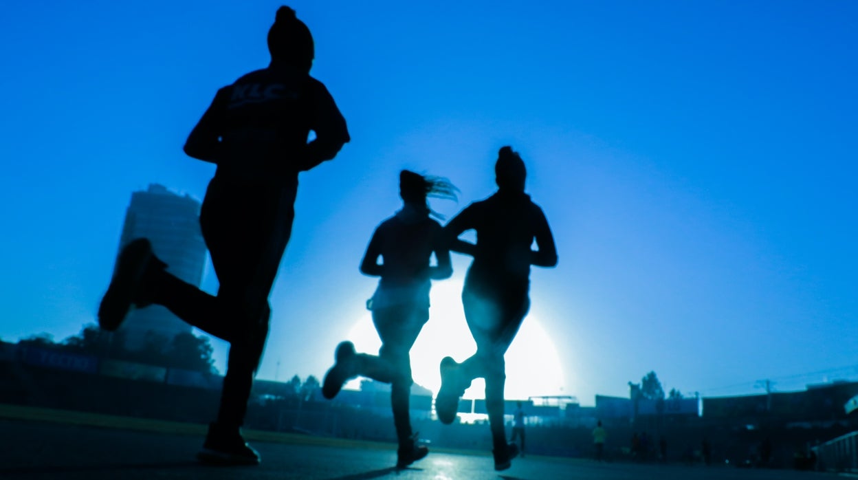 Camiseta Deporte Mujer, Ligera Y Transpirable