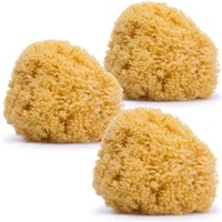 Imagen - Esponja 100% natural