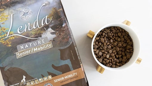 Los mejores piensos para perros Senior y de edad avanzada