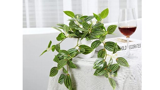 Planta decorativa en maceta