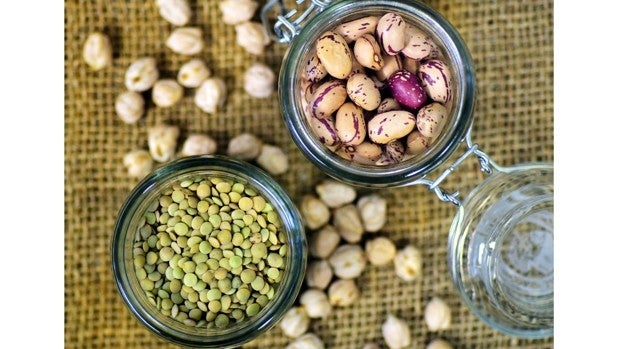 Opciones para conservar comida y alimentos