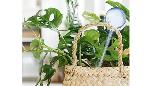 Sistema de autorriego