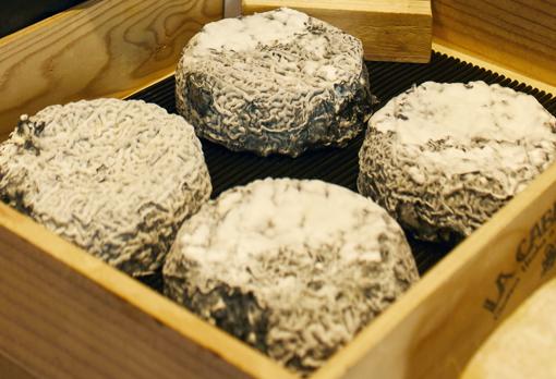 Queso Minero de La Cabezuela, quesería de Fresnedillas de la Oliva