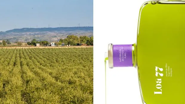 Uno de los mejores aceites de oliva virgen extra de España, ¿hecho en Madrid?
