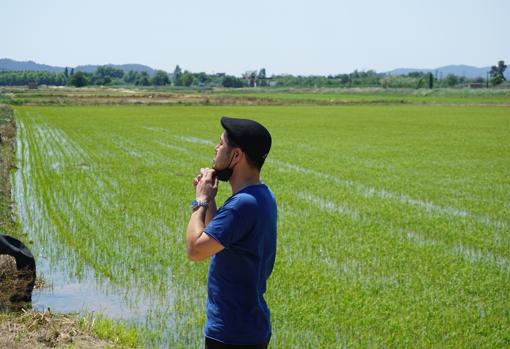 El chef Naoyuki Haginoya observando los campos de arroz de Albert Grassot en Pals, Gerona